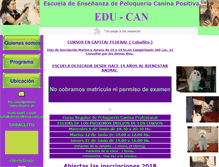 Tablet Screenshot of cursoseducan.com.ar